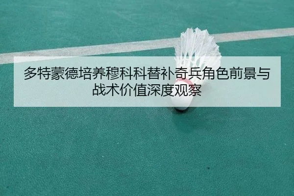 多特蒙德培养穆科科替补奇兵角色前景与战术价值深度观察