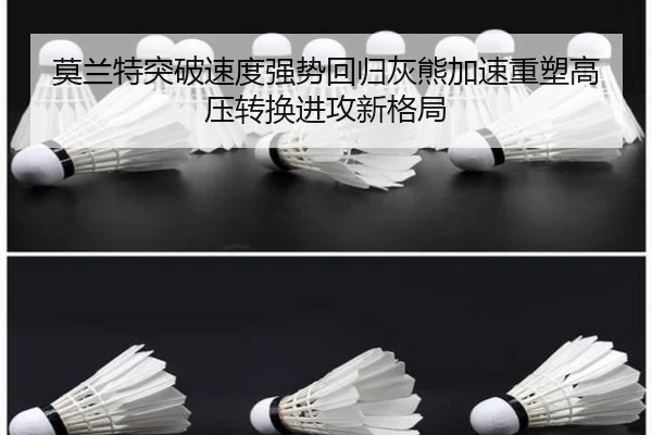 莫兰特突破速度强势回归灰熊加速重塑高压转换进攻新格局